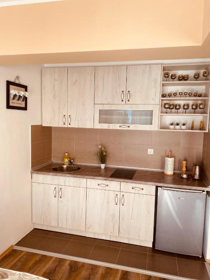 Ana Luxury Apartment **** Nova Varoš Exteriör bild